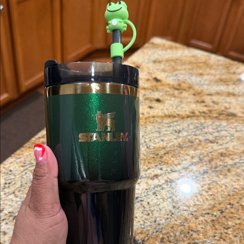 Stanley Green Tumbler with Frog Straw